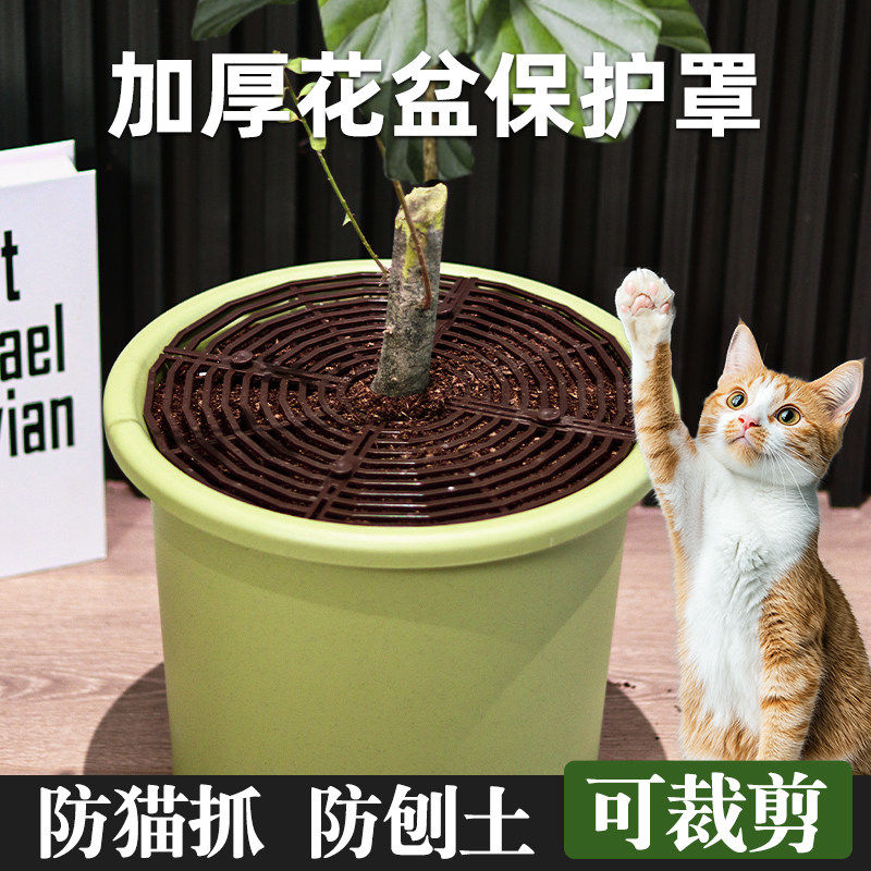 花盆防猫抓网护土盖板防