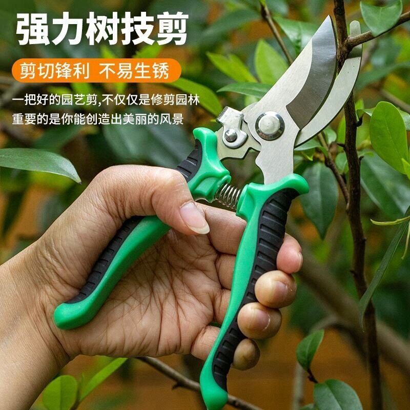 不锈钢园艺剪刀剪竹签花卉采摘葡萄蔬果剪子园林果树专用修枝剪刀