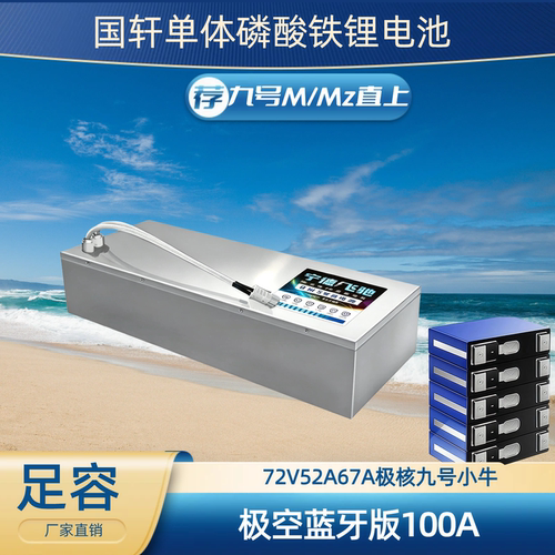 九号M/MZ系列直上磷酸铁锂锂电池72V52A电动车锂电池国轩单体宁德
