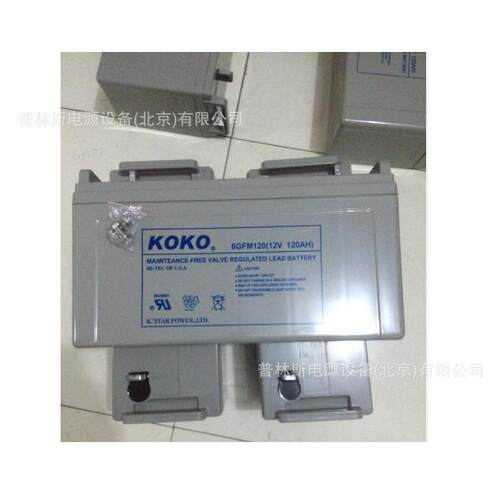 美国12V17AH 可可KOKO免维护蓄电池6GFM17