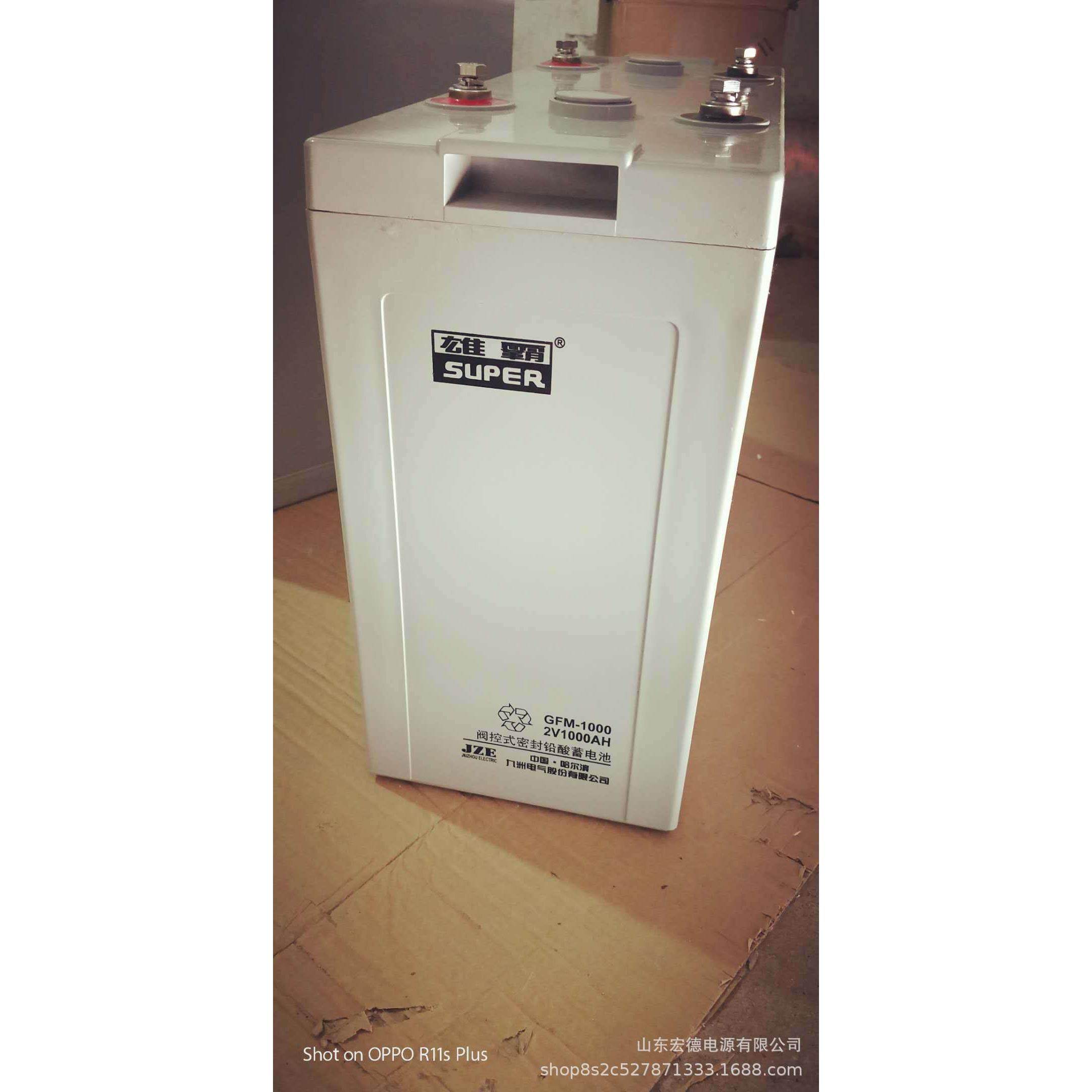 蓄电池GFM-1000 2V1000AH阀控式密封铅酸蓄电池 电厂UPS通信
