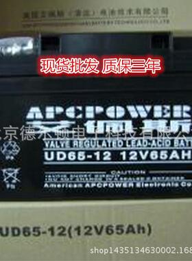 厂商美国蓄电池UD65-12免维护蓄电池12V6H现货