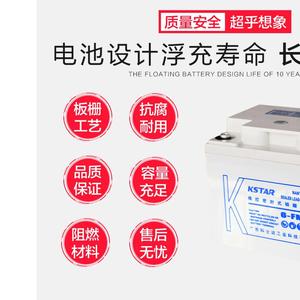 科士达6-FM-38蓄电池铅酸免维护12V38AH UPS不间断电源品质