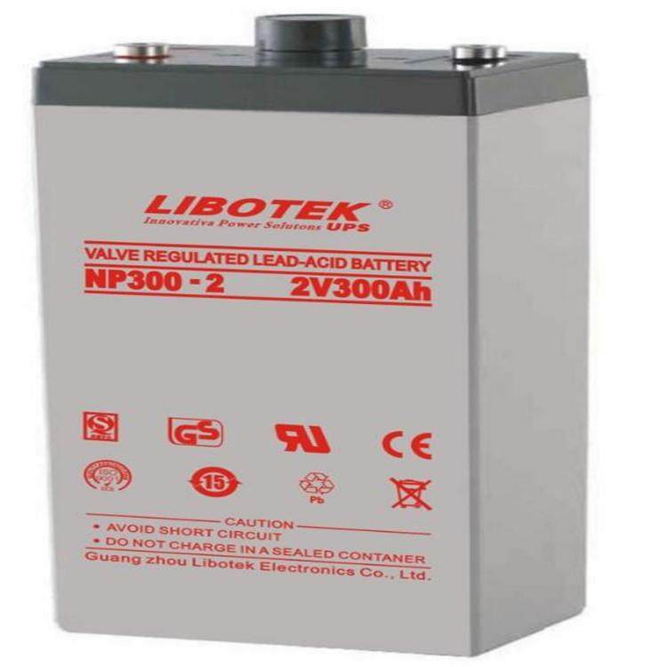 LIBOTEK蓄电池NP200-2 NP300-2 NP400-2 NP500-2 2V200AH400 500