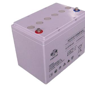 12V65AH双登6-GFM-65免维护铅酸UPS应急电源后备储蓄型