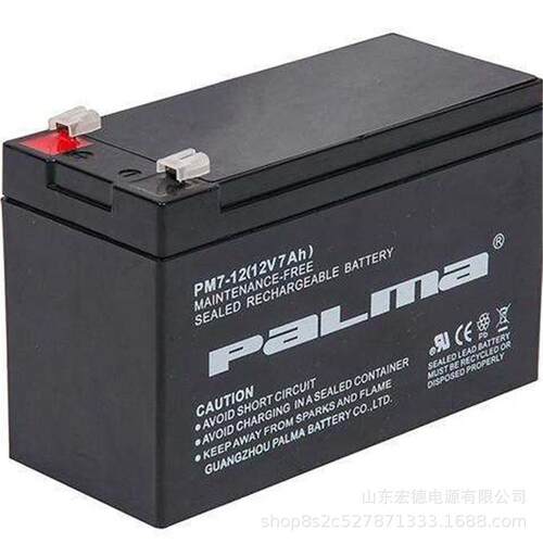 PALMA蓄电池PM38-12铅酸免维护12V38AH机房UPS/EPS直流屏基站