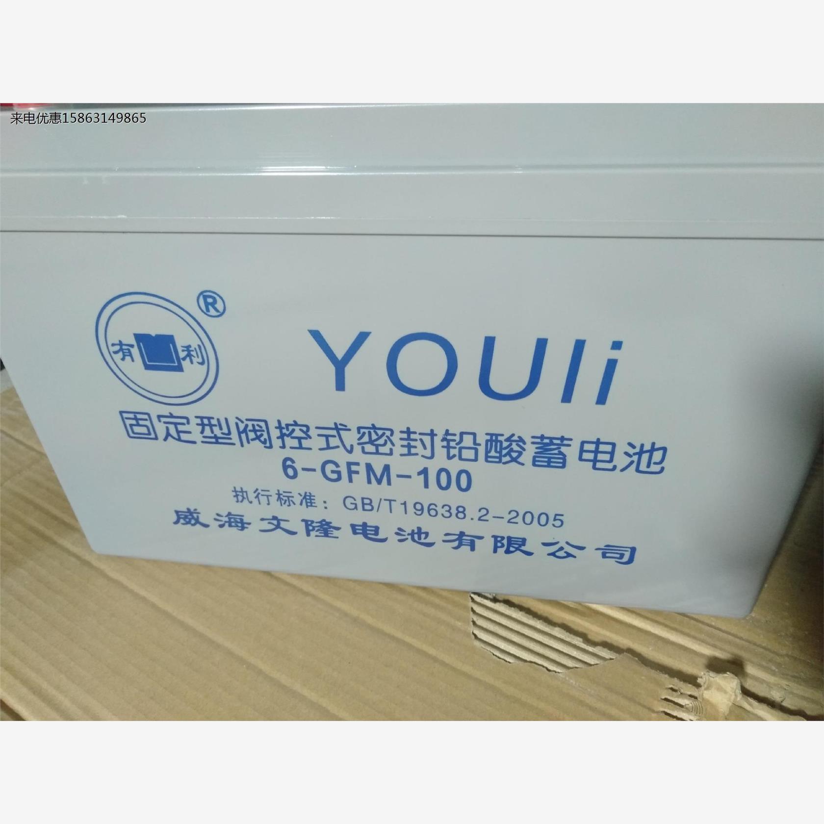6GFM100免维护蓄电池12V100AH UPS直流屏船舶 铁路储能