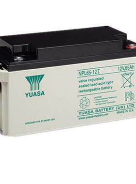 阀控密封式铅酸蓄电池NPL210-12 免维护12V210AH质保三年纸箱