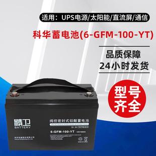 YT铅酸免维护UPS电源阀控密封式 100 蓄电池 GFM 精卫蓄电池6