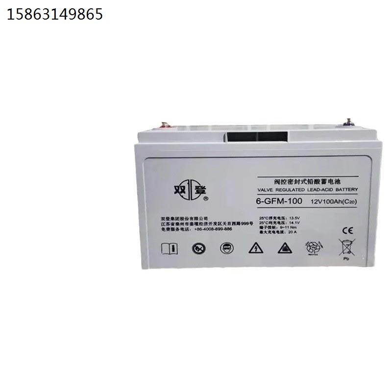蓄电池12V100AH免维护铅酸 6-GFM-100直流屏UPS机房电源专用