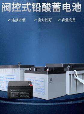 理士蓄电池DJM12100S 12V100ah 24  38 65 120 12 9 7AH 铅酸电瓶