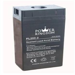 UPS 阀控密封免维护型电瓶 EPS配套后备应急电 三力蓄电池PL400