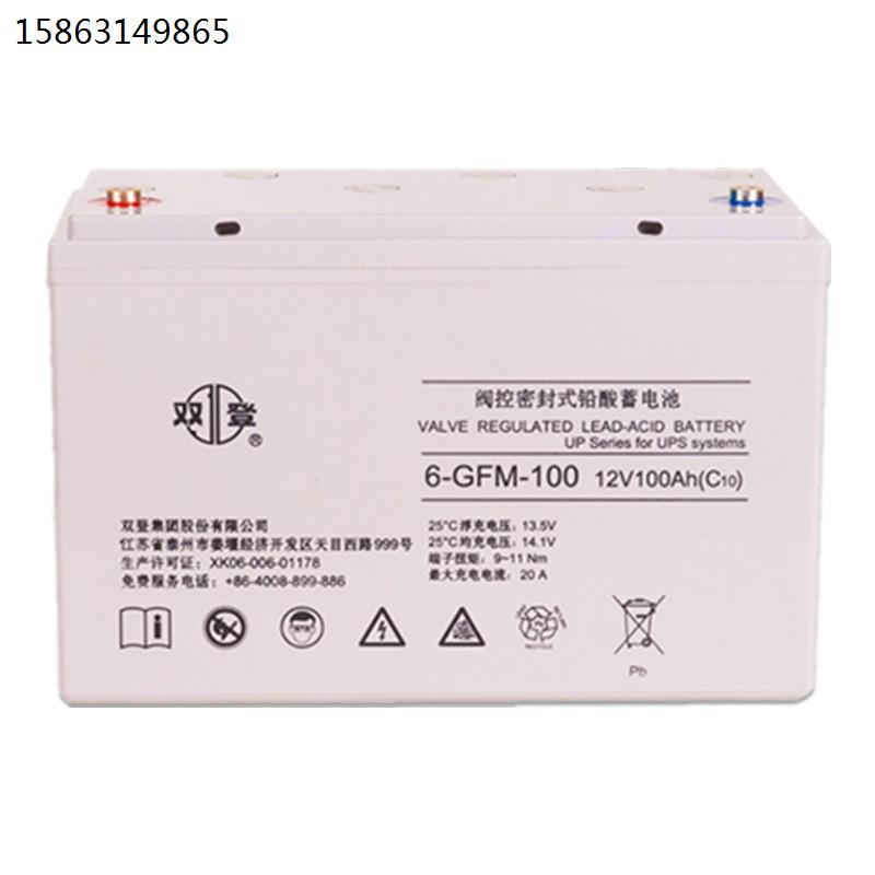 蓄电池6-GFM-100阀控小型铅酸蓄电瓶12V100AH机房UPS直流屏用