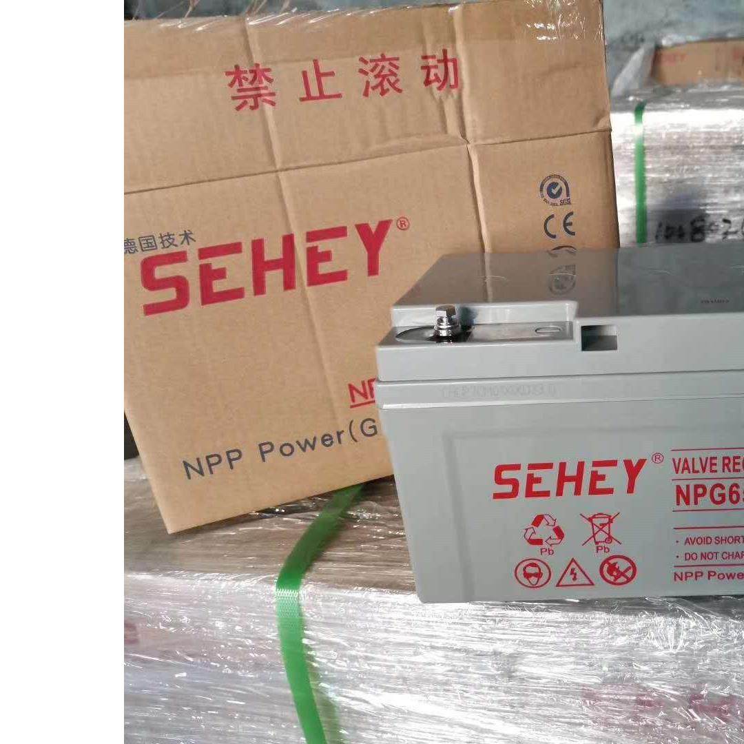 12V65aH SEHEY NP65-12 UPS 免维护蓄电池 太阳能