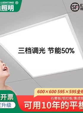 集成吊顶600x600led平板灯60x60LED面板灯石膏矿棉板天花工程灯盘