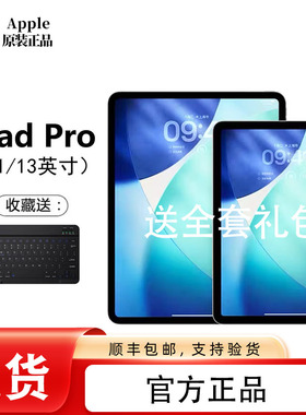 Apple/苹果 11 英寸 iPad Pro (2025)M5芯片新款平板电脑24款美版