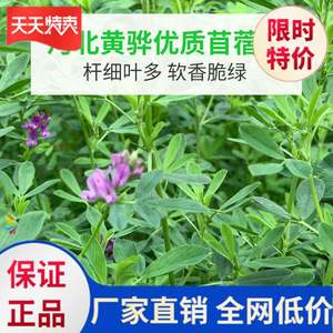 。兔饲料兔粮兔成兔宠物兔幼兔粮兔粮优质主料兔食物兔吃食豚鼠食