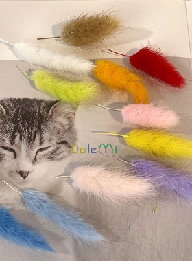 兔尾草干花 diy材料包真花永生花 盒装饰相框ins小清新拍照道具