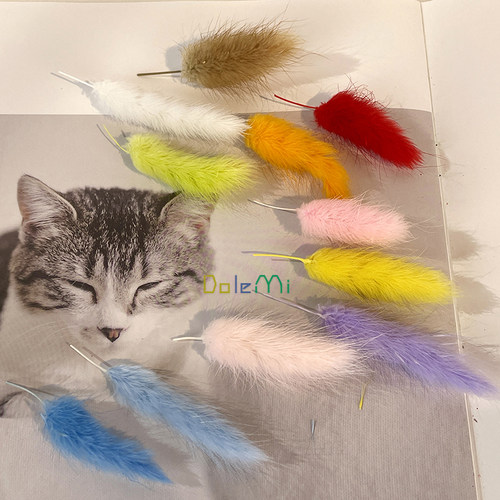 干花diy兔尾草真花盒装材料包