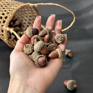 饰品挂件摆设 圣诞节装 小橡果天然干花干果 手工diy花材拍摄道具