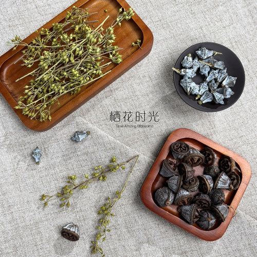 尤加利果干花干果insdiy花材