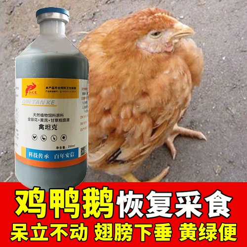 Птицецкий танк курица антивирусные куриные крылышки и опуская холодную новую городскую эпидемическую чуму чум