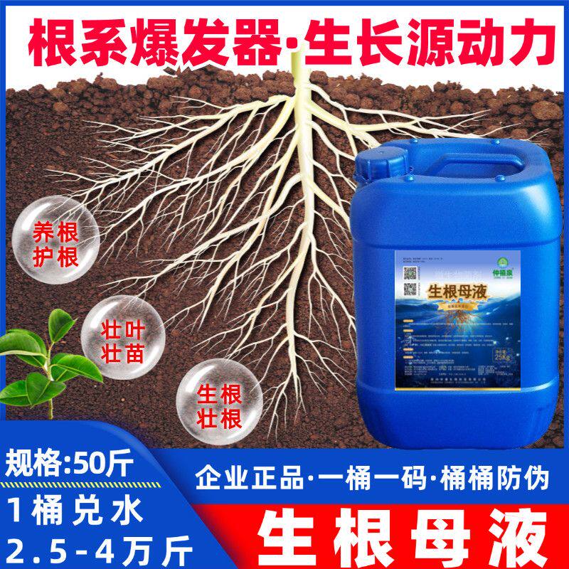 。生根母液壮苗原液剂粉