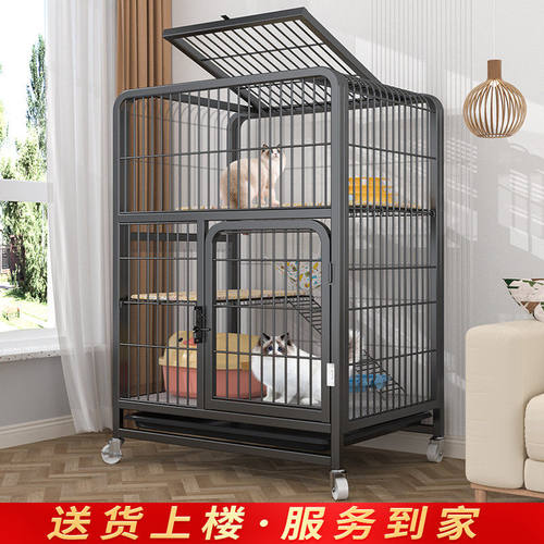 猫笼子别墅超大自由空间