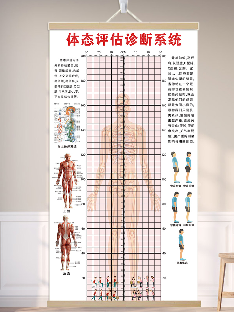 体态评估表墙贴健身体测姿势分析体形测评修复工作室瑜伽馆定制