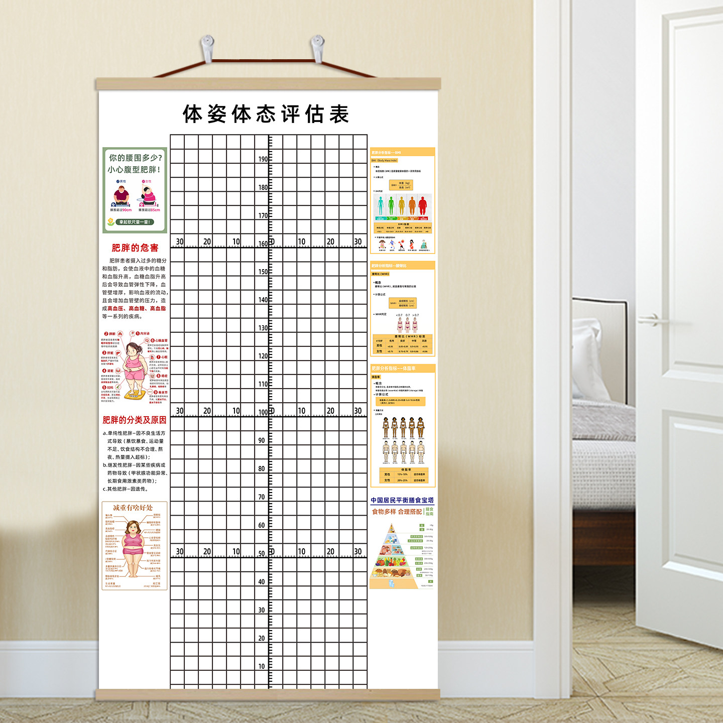 体态评估表图挂式减肥减脂运动健身矫正专业修复免费加LOGO定制