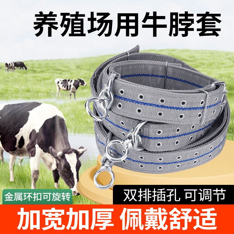 栓牛脖套牛用脖子项圈套保险扣