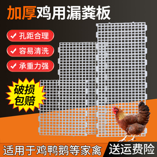 鸡笼漏粪板鸡用鸡粪鸽舍塑料漏粪板养小鸡鸭鹅漏粪网养殖专用设备
