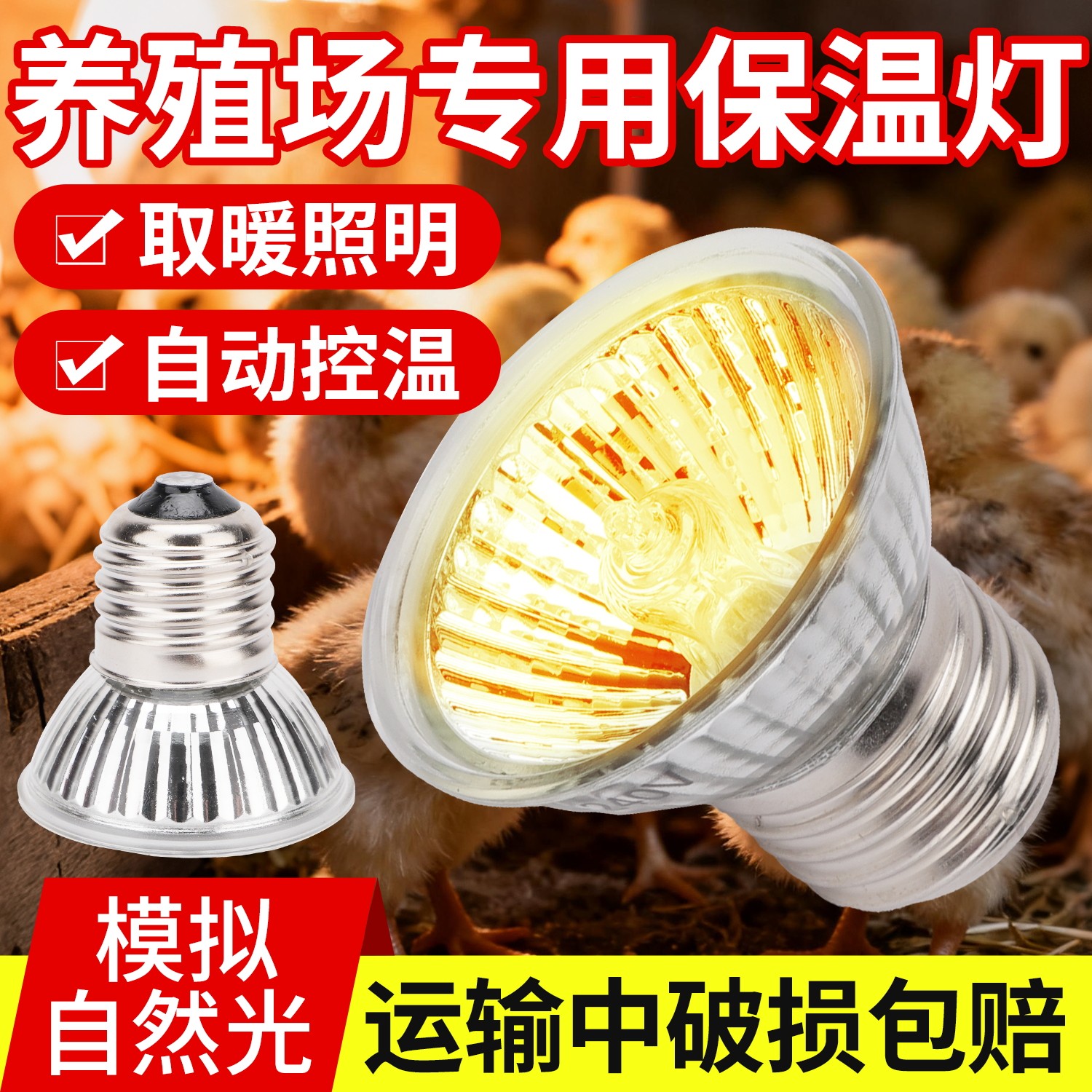 芦丁鸡保温灯小鸡育雏取暖神器加温养殖场专用温控器兽用加热灯泡,畜牧/养殖物资,养殖保温灯,淘宝优惠券,粉丝福利购,淘宝优惠卷