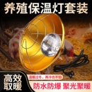 养殖场保温灯罩猪羊用取暖灯罩防水可调温加热灯保温灯罩畜牧设备