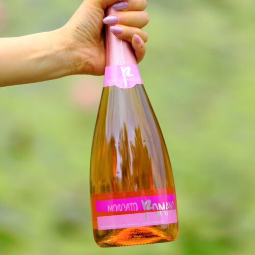 葡萄酒官方正品起泡香槟
