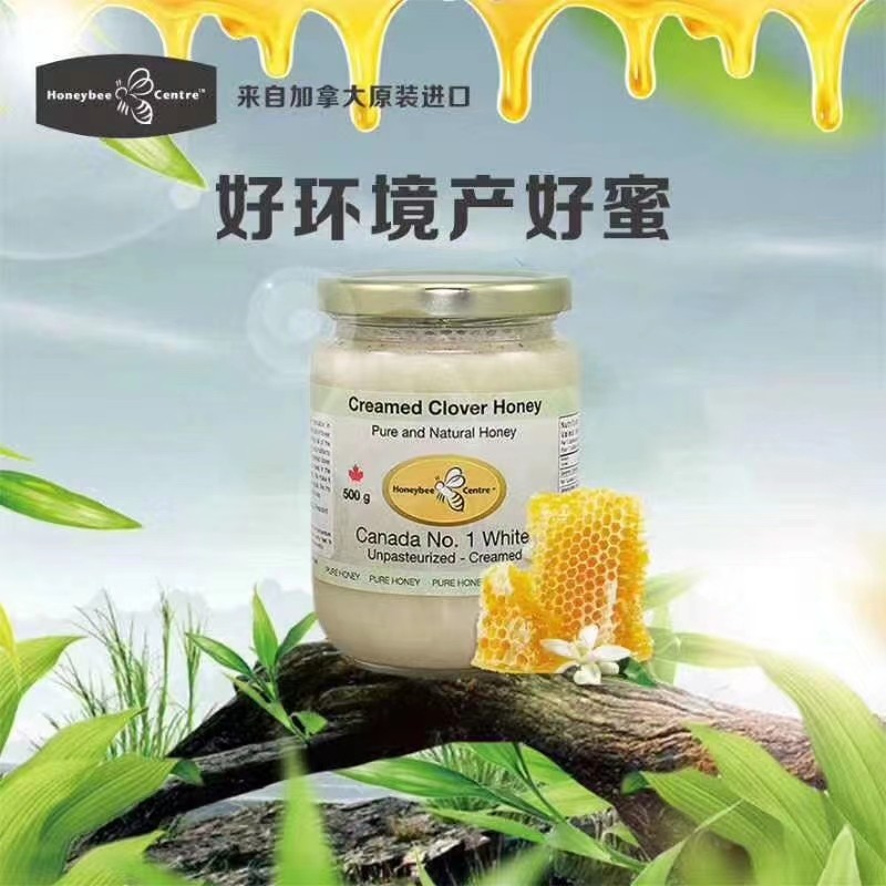 加拿大KALADA蓝莓花蜜500g/瓶