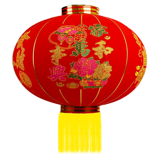 一对灯笼灯吊灯中国风家用春节挂饰大红灯笼新年室内喜庆装饰门口