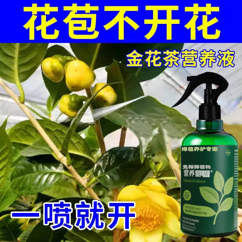 金花茶营养液花肥料复合肥园艺肥控释肥料植物花肥金茶花专用肥料