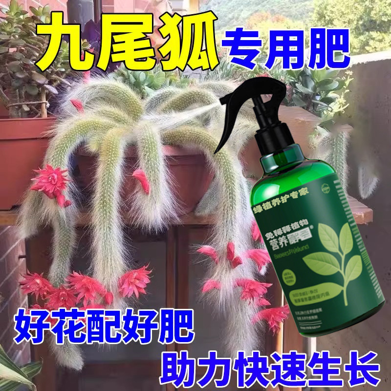 九尾狐爆芽营养液多肉专用药水促生长植物催侧芽细胞分裂素营养液