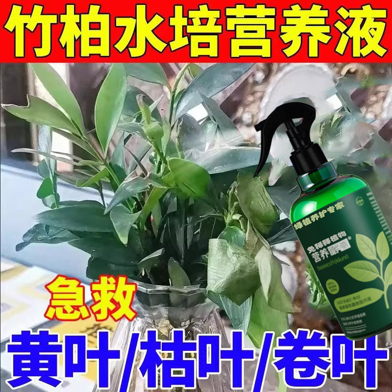 竹柏营养液专用肥料养殖平安竹长寿竹盆栽土培水培养护叶面肥肥料