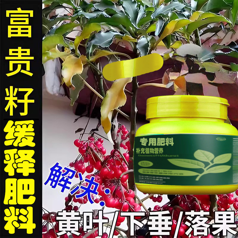 富贵子专用肥料盆景花肥富贵籽树朱砂根土壤氮磷钾营养液叶面肥料