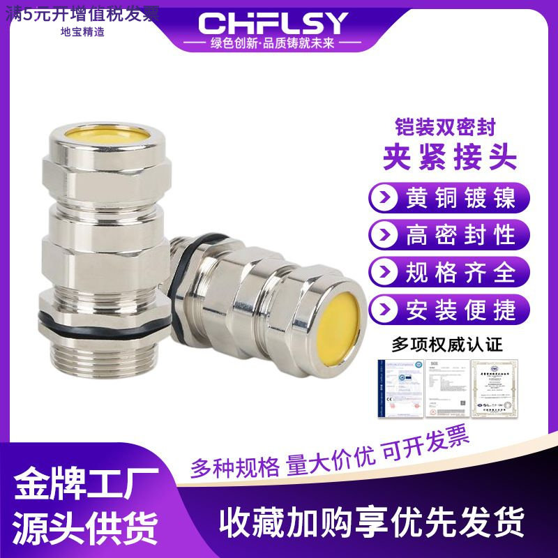 防爆铠装双密封船用格兰头