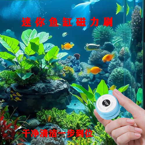 迷你磁力刷鱼缸内壁清理