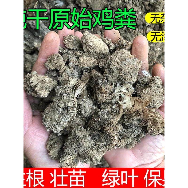 鸡屎肥纯干鸡粪肥农家有