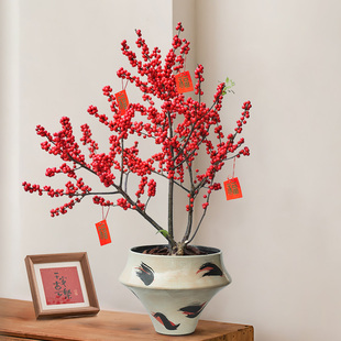 北美冬青红果盆栽盆景树苗鲜切鲜花真花乔迁新居新年喜庆年宵植物