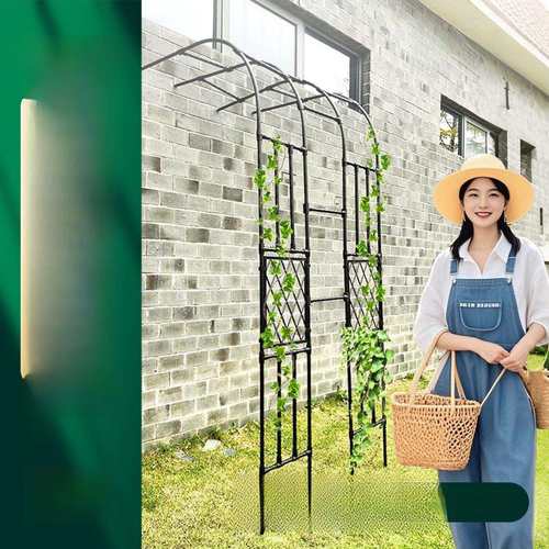 半拱花架攀爬藤架别墅室外庭院拱形不锈钢葡萄玫瑰植物攀爬支架