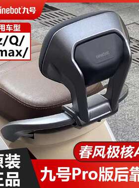 九号猎户座Dz110pro版靠背极核AE4机械师Q90原装后腰靠Mmax90配件