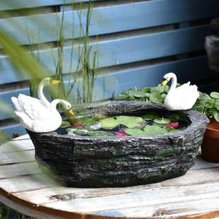 水培花盆大号创意天鹅铜钱草水仙绿萝水养植物小花园个性 阳台布置