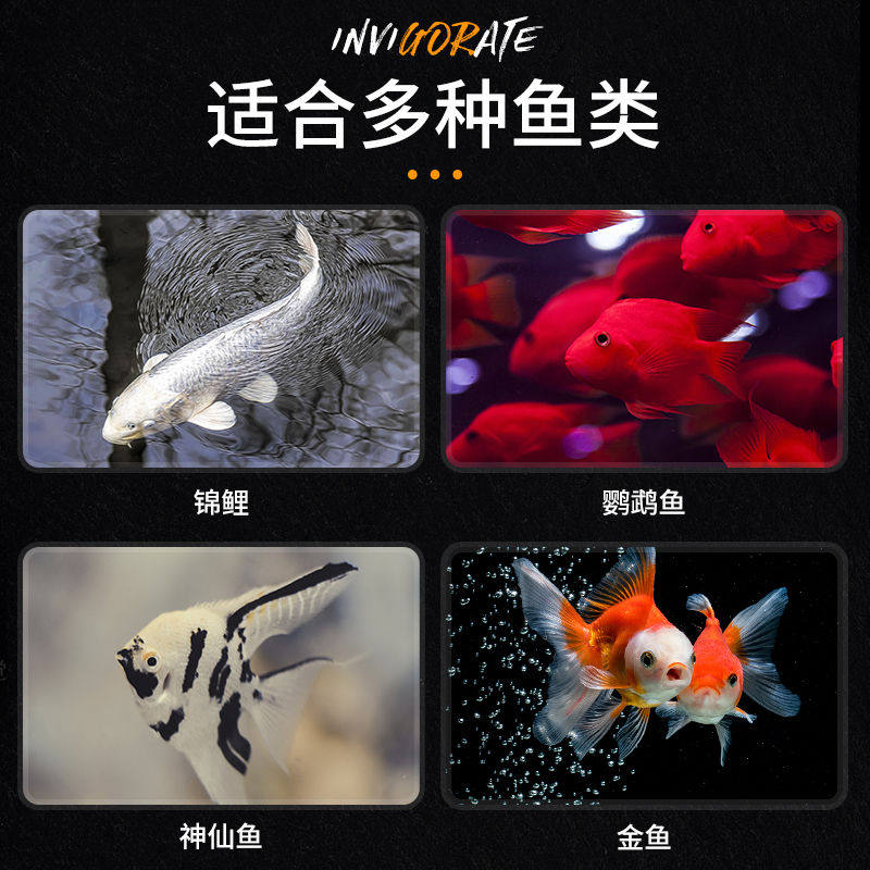 锦鲤金鱼螺旋藻增色胚芽颗粒鱼食饵料鱼粮观赏鱼通用饲料招财淡水,宠物/宠物食品及用品,观赏鱼饲料,淘宝优惠券,粉丝福利购,淘宝优惠卷