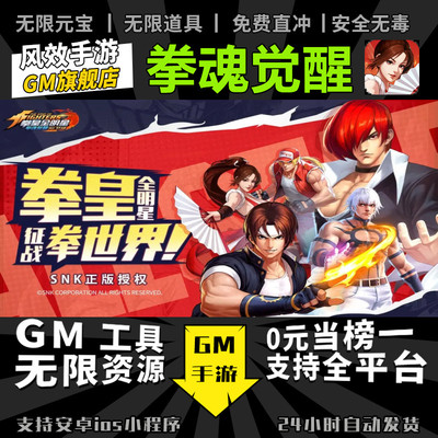 拳魂觉醒 手游无限GM后台道具内部号折扣礼包免费版安卓苹果鸿蒙